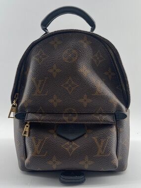 Louis Vuitton Monogram Palm Springs Backpack
